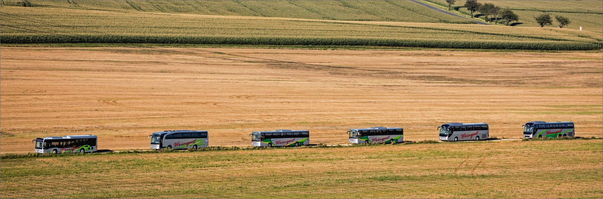 Weingart Reisebuse auf Straße